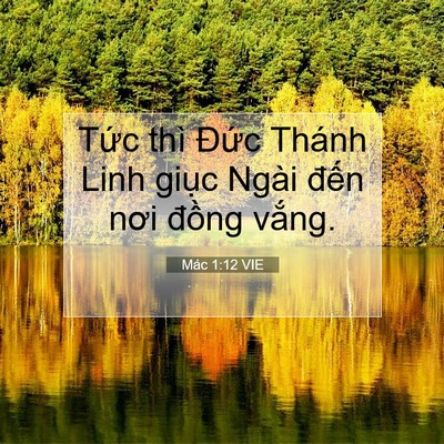Picture 07 - Mác 1:12 VIE - Tức thì Đức Thánh Linh giục Ngài đến - Bible Verse Picture