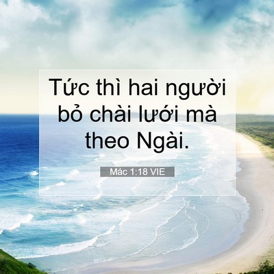 Picture 07 - Mác 1:18 VIE - Tức thì hai người bỏ chài lưới mà - Bible Verse Picture