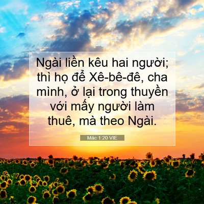 Picture 07 - Mác 1:20 VIE - Ngài liền kêu hai người; thì họ để - Bible Verse Picture