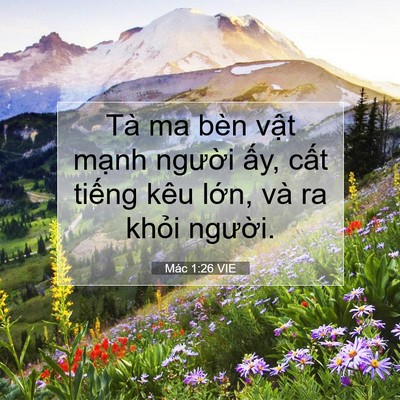 Picture 07 - Mác 1:26 VIE - Tà ma bèn vật mạnh người ấy, cất - Bible Verse Picture
