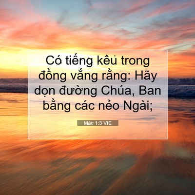 Picture 07 - Mác 1:3 VIE - Có tiếng kêu trong đồng vắng rằng: - Bible Verse Picture
