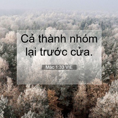 Picture 07 - Mác 1:33 VIE - Cả thành nhóm lại trước - Bible Verse Picture