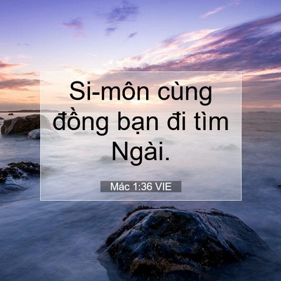 Picture 07 - Mác 1:36 VIE - Si-môn cùng đồng bạn đi tìm - Bible Verse Picture
