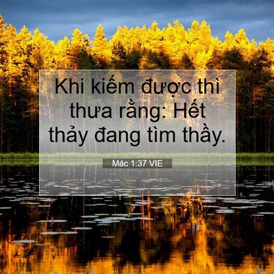 Picture 07 - Mác 1:37 VIE - Khi kiếm được thì thưa rằng: Hết - Bible Verse Picture