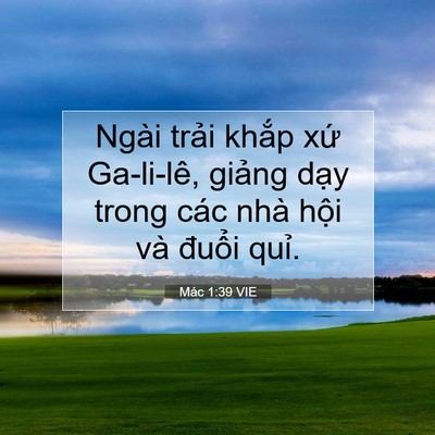 Picture 07 - Mác 1:39 VIE - Ngài trải khắp xứ Ga-li-lê, giảng dạy - Bible Verse Picture