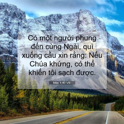 Picture 07 - Mác 1:40 VIE - Có một người phung đến cùng Ngài, quì - Bible Verse Picture