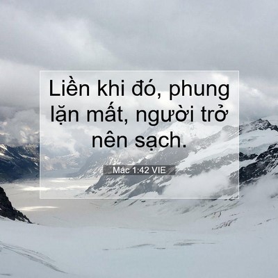 Picture 07 - Mác 1:42 VIE - Liền khi đó, phung lặn mất, người - Bible Verse Picture