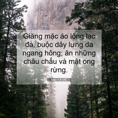 Picture 07 - Mác 1:6 VIE - Giăng mặc áo lông lạc đà, buộc dây - Bible Verse Picture