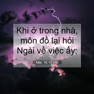 Picture 07 - Mác 10:10 VIE - Khi ở trong nhà, môn đồ lại hỏi Ngài - Bible Verse Picture