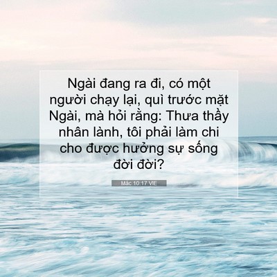 Picture 07 - Mác 10:17 VIE - Ngài đang ra đi, có một người chạy - Bible Verse Picture