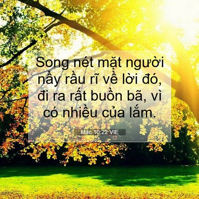Picture 07 - Mác 10:22 VIE - Song nét mặt người nầy rầu rĩ về - Bible Verse Picture