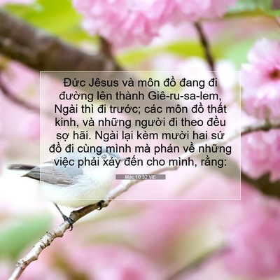 Picture 07 - Mác 10:32 VIE - Đức Jêsus và môn đồ đang đi đường - Bible Verse Picture