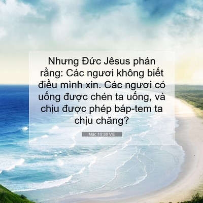 Picture 07 - Mác 10:38 VIE - Nhưng Đức Jêsus phán rằng: Các ngươi - Bible Verse Picture
