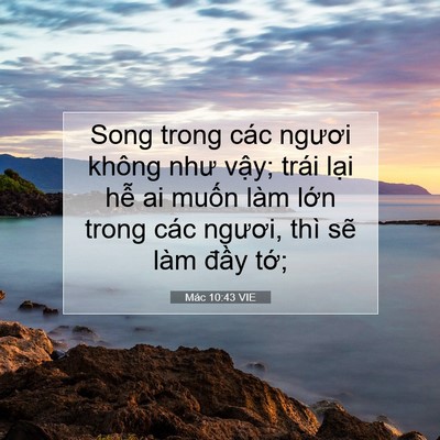 Picture 07 - Mác 10:43 VIE - Song trong các ngươi không như vậy; trái - Bible Verse Picture