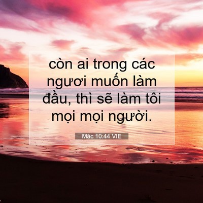 Picture 07 - Mác 10:44 VIE - còn ai trong các ngươi muốn làm đầu, - Bible Verse Picture