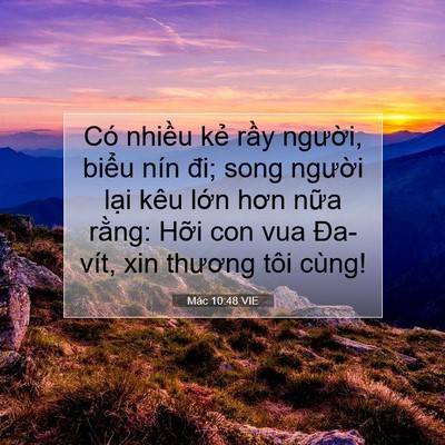 Picture 07 - Mác 10:48 VIE - Có nhiều kẻ rầy người, biểu nín đi; - Bible Verse Picture