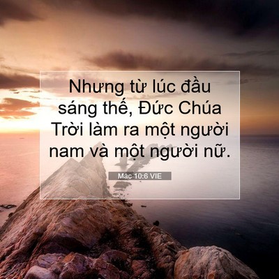Picture 07 - Mác 10:6 VIE - Nhưng từ lúc đầu sáng thế, Đức Chúa - Bible Verse Picture