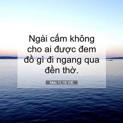 Picture 07 - Mác 11:16 VIE - Ngài cấm không cho ai được đem đồ gì - Bible Verse Picture