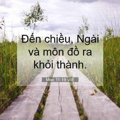 Picture 07 - Mác 11:19 VIE - Đến chiều, Ngài và môn đồ ra khỏi - Bible Verse Picture