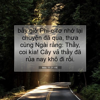 Picture 07 - Mác 11:21 VIE - bấy giờ Phi-e-rơ nhớ lại chuyện đã - Bible Verse Picture