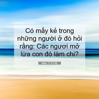 Picture 07 - Mác 11:5 VIE - Có mấy kẻ trong những người ở đó - Bible Verse Picture