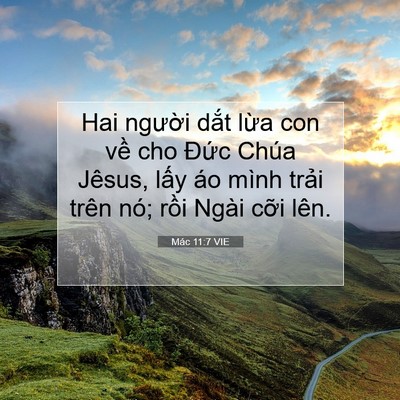 Picture 07 - Mác 11:7 VIE - Hai người dắt lừa con về cho Đức - Bible Verse Picture