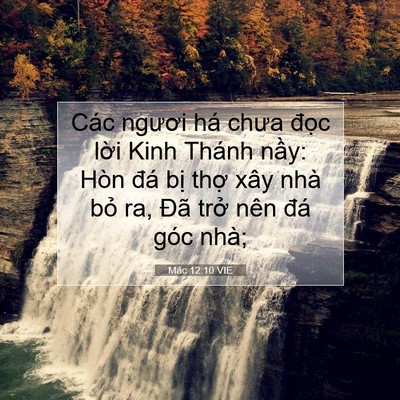 Picture 07 - Mác 12:10 VIE - Các ngươi há chưa đọc lời Kinh Thánh - Bible Verse Picture