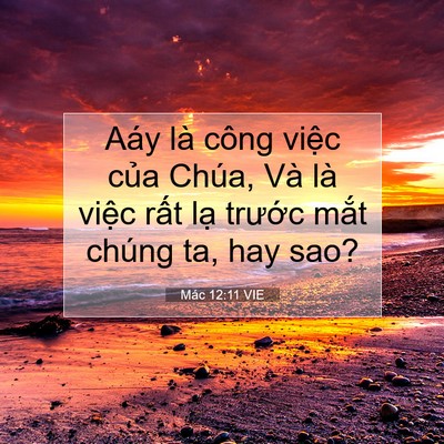 Picture 07 - Mác 12:11 VIE - Aáy là công việc của Chúa, Và là việc - Bible Verse Picture