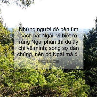 Picture 07 - Mác 12:12 VIE - Những người đó bèn tìm cách bắt - Bible Verse Picture