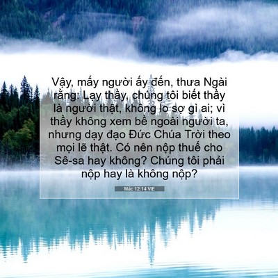 Picture 07 - Mác 12:14 VIE - Vậy, mấy người ấy đến, thưa Ngài - Bible Verse Picture