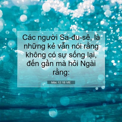 Picture 07 - Mác 12:18 VIE - Các người Sa-đu-sê, là những kẻ vẫn - Bible Verse Picture