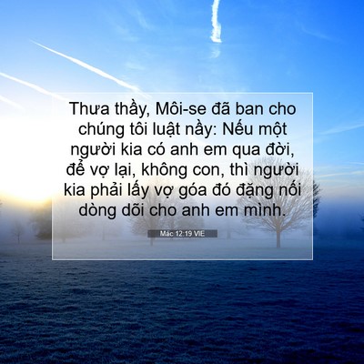 Picture 07 - Mác 12:19 VIE - Thưa thầy, Môi-se đã ban cho chúng tôi - Bible Verse Picture