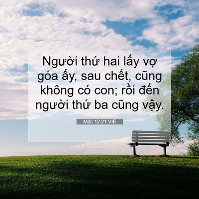 Picture 07 - Mác 12:21 VIE - Người thứ hai lấy vợ góa ấy, sau - Bible Verse Picture