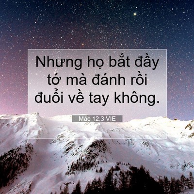 Picture 07 - Mác 12:3 VIE - Nhưng họ bắt đầy tớ mà đánh rồi - Bible Verse Picture