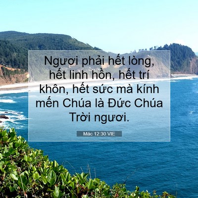 Picture 07 - Mác 12:30 VIE - Ngươi phải hết lòng, hết linh hồn, - Bible Verse Picture