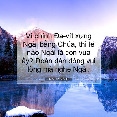 Picture 07 - Mác 12:37 VIE - Vì chính Đa-vít xưng Ngài bằng Chúa, - Bible Verse Picture