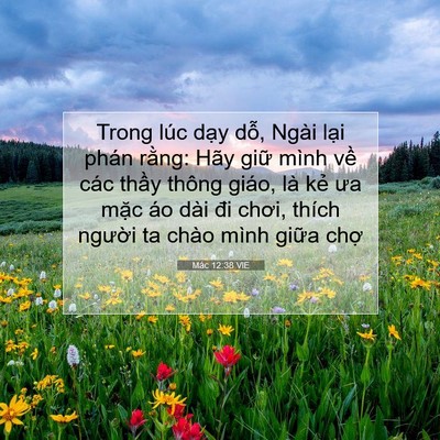 Picture 07 - Mác 12:38 VIE - Trong lúc dạy dỗ, Ngài lại phán rằng: - Bible Verse Picture