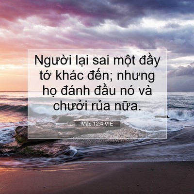 Picture 07 - Mác 12:4 VIE - Người lại sai một đầy tớ khác - Bible Verse Picture