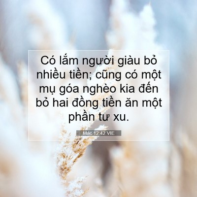 Picture 07 - Mác 12:42 VIE - Có lắm người giàu bỏ nhiều tiền; - Bible Verse Picture
