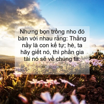 Picture 07 - Mác 12:7 VIE - Nhưng bọn trồng nho đó bàn với nhau - Bible Verse Picture