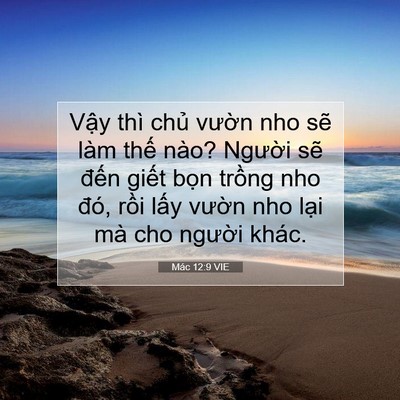 Picture 07 - Mác 12:9 VIE - Vậy thì chủ vườn nho sẽ làm thế - Bible Verse Picture