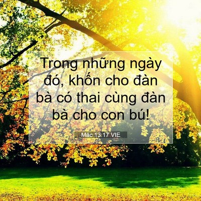 Picture 07 - Mác 13:17 VIE - Trong những ngày đó, khốn cho đàn bà - Bible Verse Picture