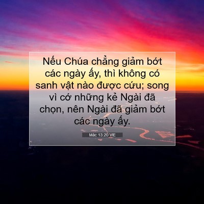 Picture 07 - Mác 13:20 VIE - Nếu Chúa chẳng giảm bớt các ngày ấy, - Bible Verse Picture