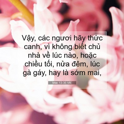 Picture 07 - Mác 13:35 VIE - Vậy, các ngươi hãy thức canh, vì không - Bible Verse Picture