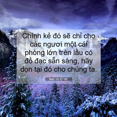 Picture 07 - Mác 14:15 VIE - Chính kẻ đó sẽ chỉ cho các ngươi - Bible Verse Picture
