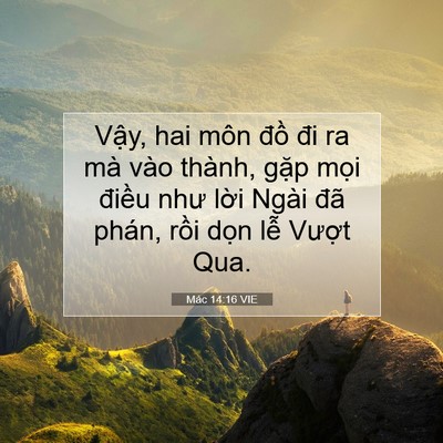 Picture 07 - Mác 14:16 VIE - Vậy, hai môn đồ đi ra mà vào thành, - Bible Verse Picture