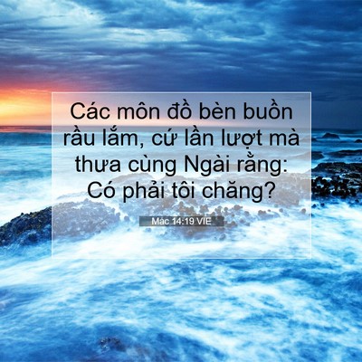 Picture 07 - Mác 14:19 VIE - Các môn đồ bèn buồn rầu lắm, cứ - Bible Verse Picture