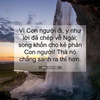 Picture 07 - Mác 14:21 VIE - Vì Con người đi, y như lời đã chép - Bible Verse Picture