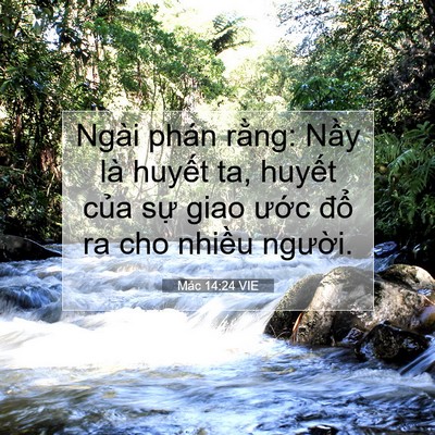 Picture 07 - Mác 14:24 VIE - Ngài phán rằng: Nầy là huyết ta, huyết - Bible Verse Picture