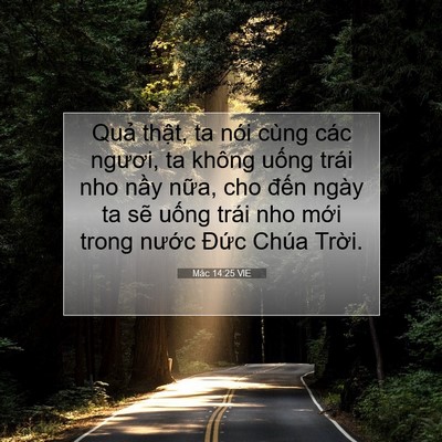 Picture 07 - Mác 14:25 VIE - Quả thật, ta nói cùng các ngươi, ta - Bible Verse Picture